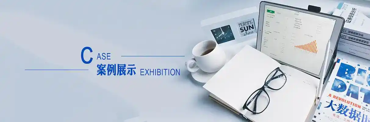 罗城仫佬族自治县软件开发